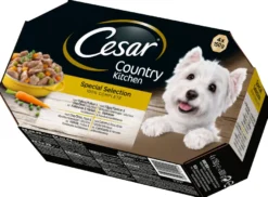 Blötfoder Cesar