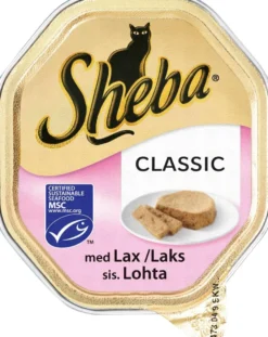 Blötfoder Sheba