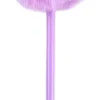 Penna