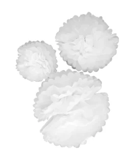 Pompoms