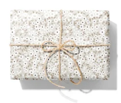 Presentpapper