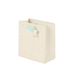 Presentpåse