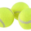 Träningsboll